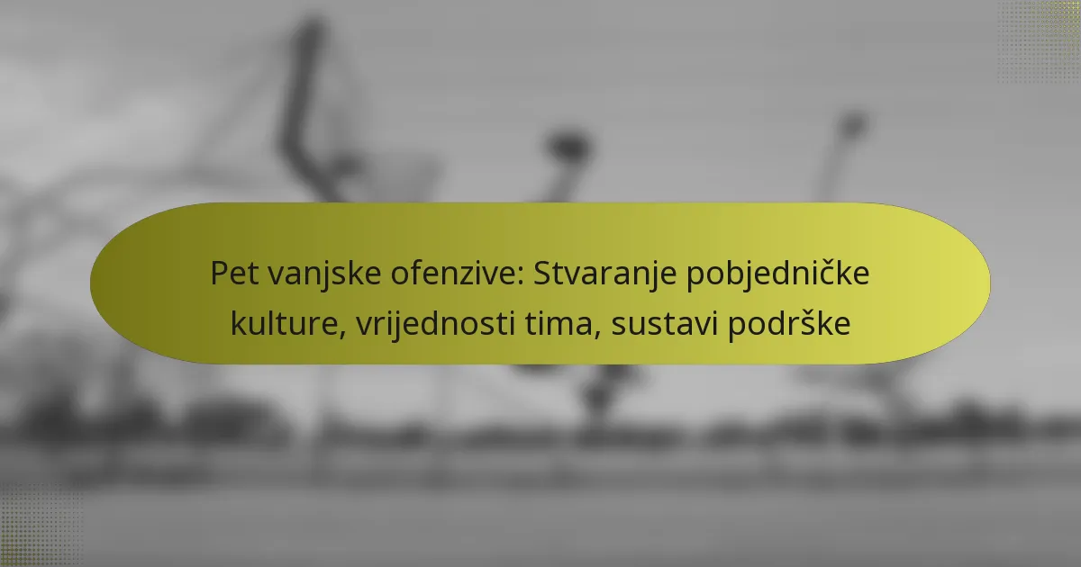 Pet vanjske ofenzive: Stvaranje pobjedničke kulture, vrijednosti tima, sustavi podrške